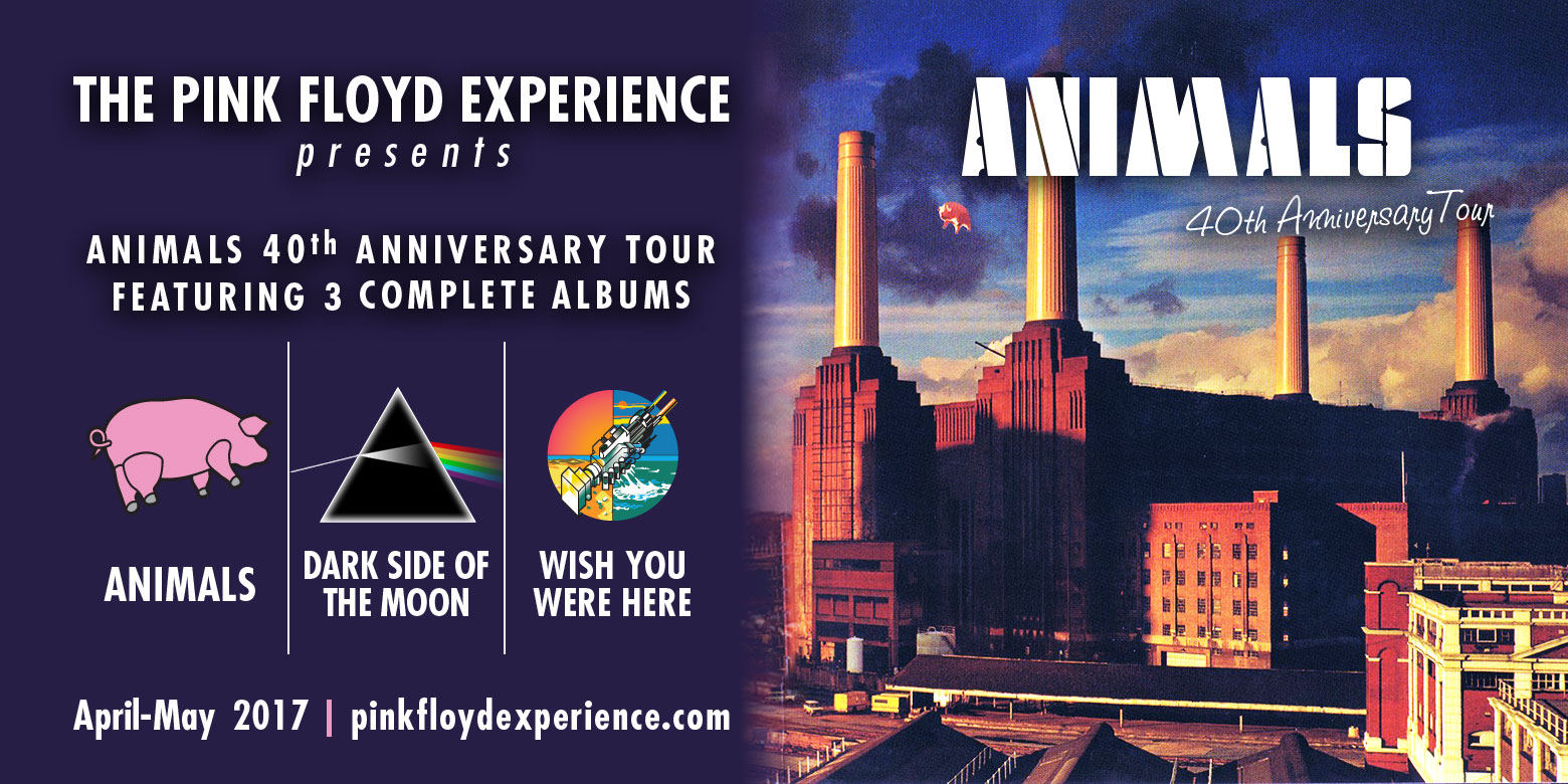 PFE animals 1560x780px