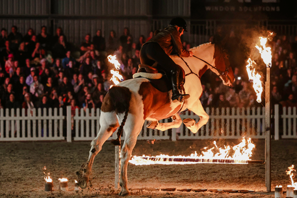 Equifest press release pic