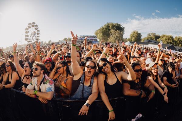 Homegrown crowd