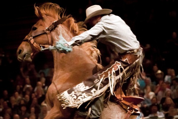 Rodeo Image